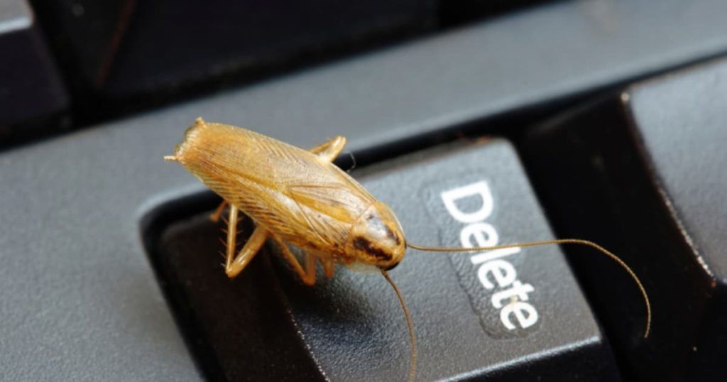 Уничтожение тараканов в офисе в Оренбурге